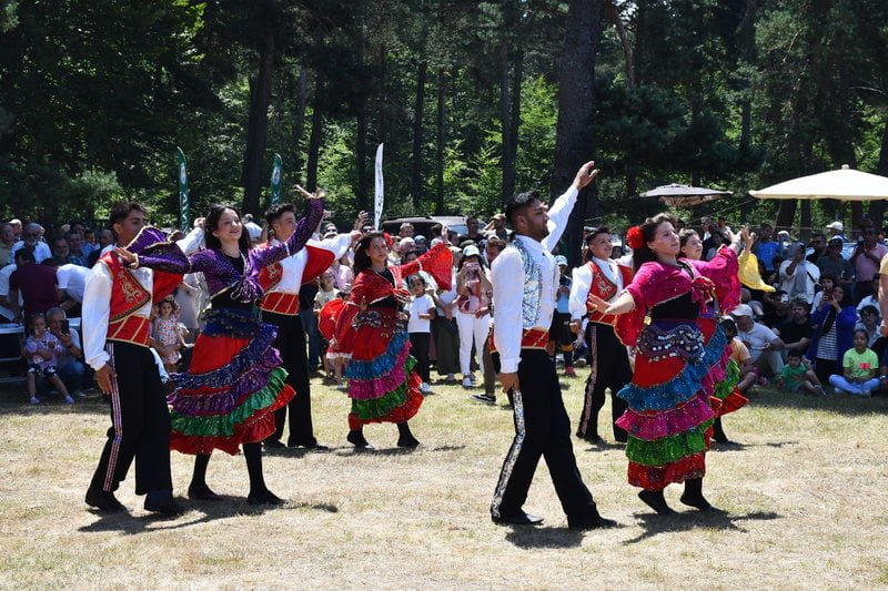 İznik Belediyesi’nin ev sahipliğinde 4. kez düzenlenen Maviyemiş Festivali’ne bu