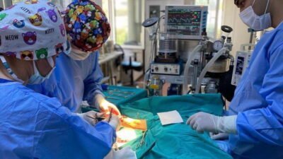 Osmangazi Belediyesi, 2024 yılının ilk yarısında 2170 sokak hayvanını kısırlaştırarak,