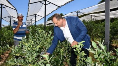 İznik Belediyesi’nin ev sahipliğinde 4. kez düzenlenecek Maviyemiş Festivali bu