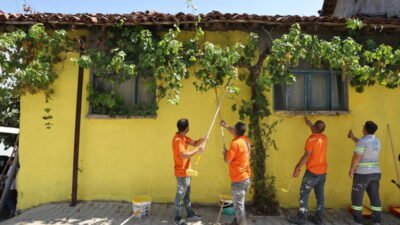 Nilüfer Belediyesi’nin,  turizm ve tarım hamleleriyle ilçedeki kırsal mahalleleri cazibe