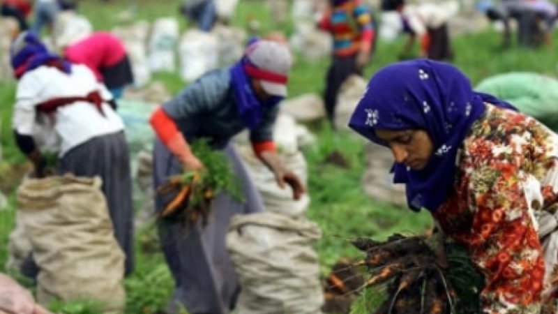 Pala, mevsimlik işçilerin sorunlarını gündeme taşıdı