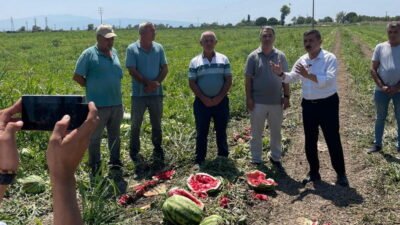 İYİ Parti Bursa Milletvekili Selçuk Türkoğlu, Karacabey’de kırılmaya yüz tutan