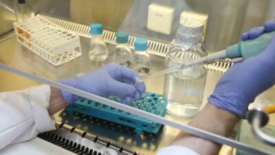 BURSA TEKNİK ÜNİVERSİTESİNİN (BTÜ), BİTKİ BESLEMESİNDE VERİM ARTIRICI OLARAK BİLİNEN