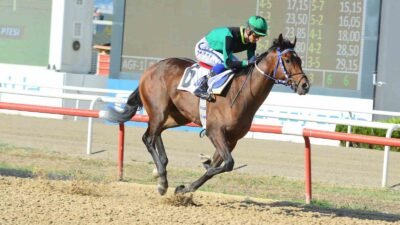 TÜRKİYE JOKEY KULÜBÜ (TJK) TARAFINDAN DÜZENLENEN BURSA BÜYÜKŞEHİR BELEDİYE BAŞKANLIĞI