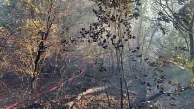 BURSA'NIN MUSTAFAKEMALPAŞA İLÇESİ SÖĞÜTALAN MEVKİSİNDE ÇIKAN ORMAN YANGINI KONTROL ALTINA