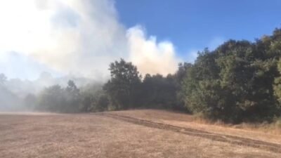 BURSA'NIN MUSTAFAKEMALPAŞA İLÇESİ SÖĞÜTALAN MEVKİİNDE ORMANLIK ALANDA YANGIN ÇIKTI. YANGINA