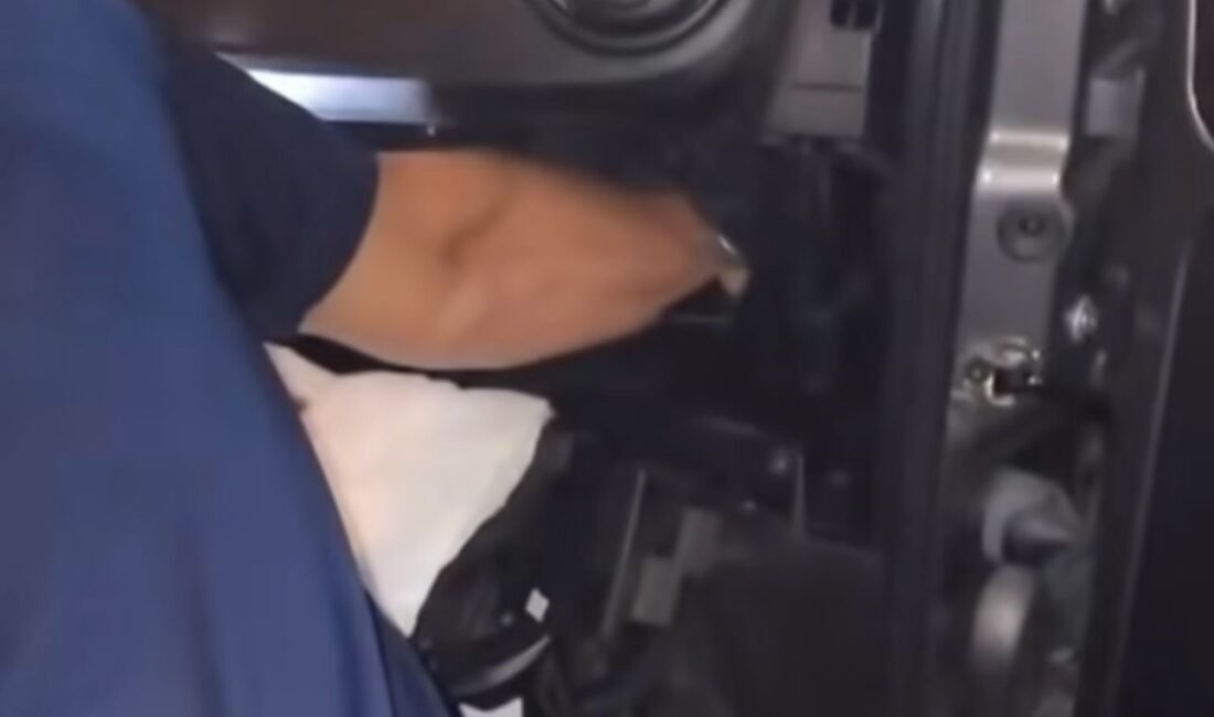 BURSA'DA İTFAİYE EKİPLERİ ARACIN MOTOR KISMINA GİREN YAVRU KEDİYİ KURTARMAK