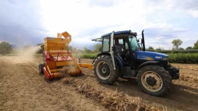 İNEGÖL’ÜN TESCİLLİ DEĞERİ CERRAH KURU FASULYESİNDE HASAT BAŞLADI. BU YIL