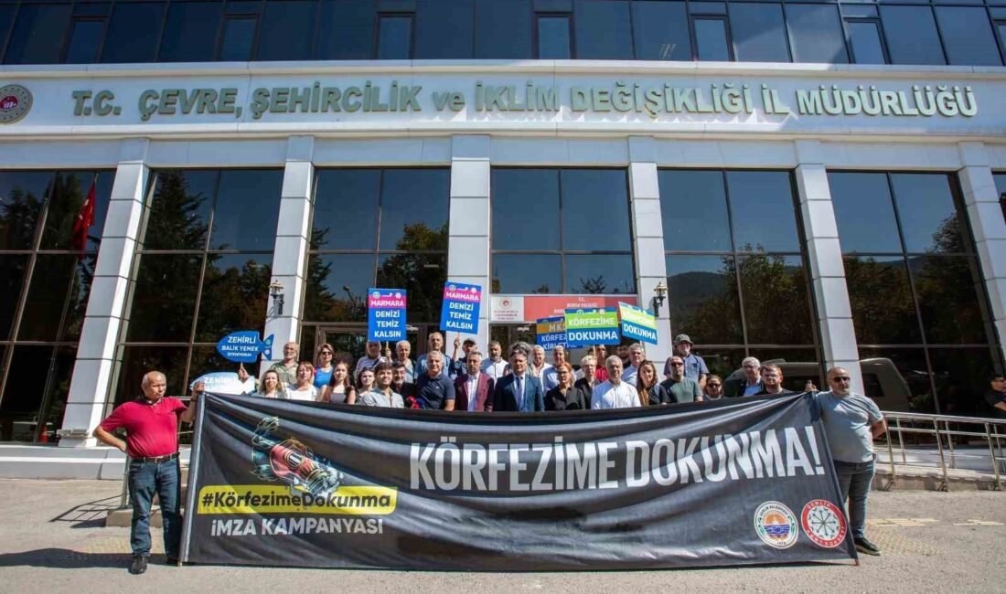 Bursa Kent Konseyi, Gemlik Kent Konseyi ve DOĞADER, Çevre Şehircilik