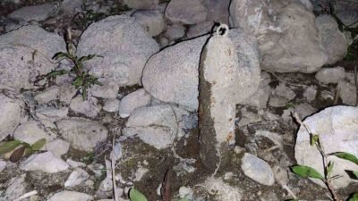 Bursa’nın Orhangazi ilçesinde bir vatandaşın İznik Gölü kıyısında yürürken bulduğu