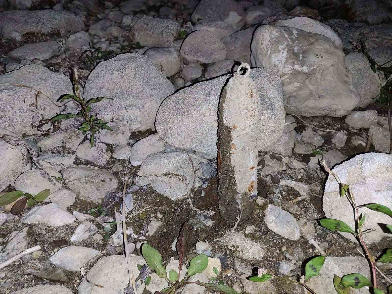 Bursa’nın Orhangazi ilçesinde bir vatandaşın İznik Gölü kıyısında yürürken bulduğu