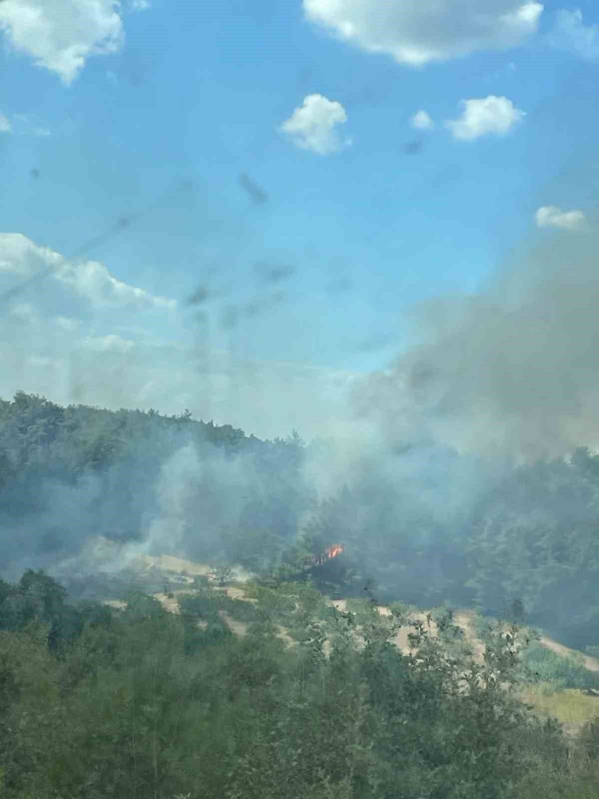 BURSA'NIN MERKEZ OSMANGAZİ İLÇESİNDE ORMANLIK ALANDA ÇIKAN YANGINA, 2 HELİKOPTER