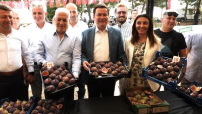 Osmangazi Belediyesi, Avrupa’da saray mutfaklarını süsleyen Bursa’nın dünyaca ünlü siyah