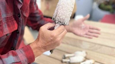 ULUDAĞ MİLLİ PARKI’NIN MUHTEŞEM ORMANLARIYLA ÇEVRİLİ KİRAZLIYAYLA’DA, DOĞANIN TAM KALBİNDE