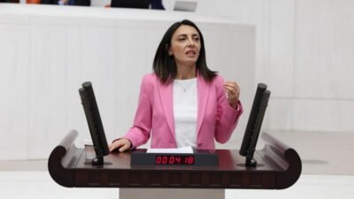 CHP Bursa Milletvekili Nurhayat Altaca Kayışoğlu, Kültür ve Turizm Bakanlığı