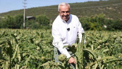 Nilüfer Belediyesi, 3 gün sürecek Tarımsal Kalkınma ve Kooperatifçilik Çalıştayı’na