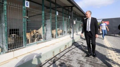 Sahipsiz Hayvanlar Bakım ve Tedavi Merkezi’yle bölgenin en kapsamlı hayvan