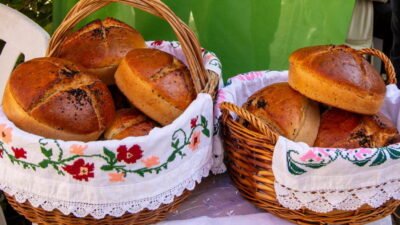 Bursa Büyükşehir Belediyesi iştiraklerinden BESAŞ, ata tohumu siyez buğdayı ve