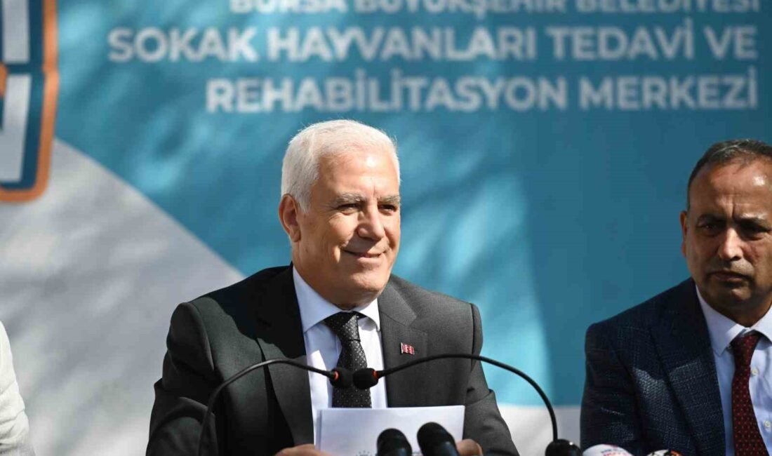 Bursa Büyükşehir Belediyesi, can dostları korumak ve onlara yuva kazandırmak