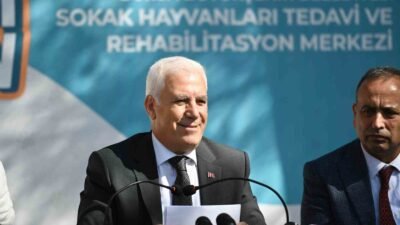 Bursa Büyükşehir Belediyesi, can dostları korumak ve onlara yuva kazandırmak