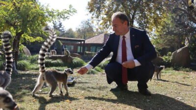 Bursa’da yaklaşık 206 bin metrekarelik alanda 137 türden bini aşkın