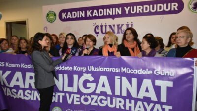 Bursa Kent Konseyi Kadın Meclisi, Nilüfer Kent Konseyi Kadın Meclisi