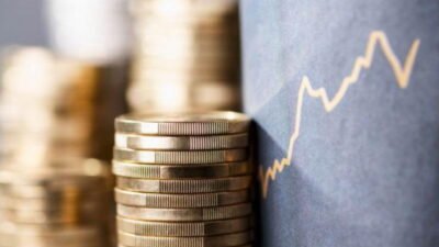 Ülkenin önde gelen üç yatırım bankasının müşterilerinden yıllık 790 TL'ye