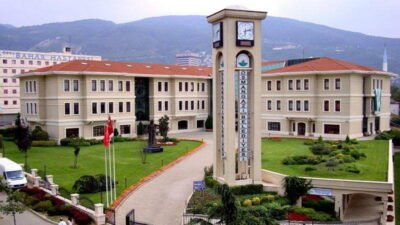 Kedi ve köpek katliamı yaptığı iddia edilen Bursa Osmangazi Belediyesi'nden