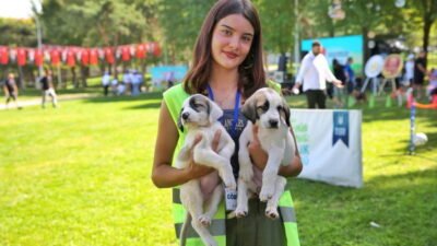 Bursa’nın 17 ilçesinde sokak hayvanlarına sahip çıkan Büyükşehir Belediyesi, 2024