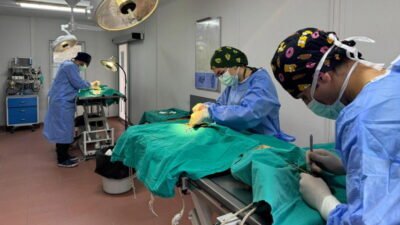 Osmangazi Belediyesi, sahipsiz sokak hayvanlarının tedavisi ve rehabilitasyonunda olduğu gibi