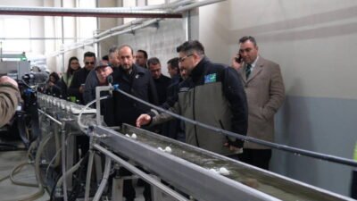 Bursa Büyükşehir Belediyesi’nin Tarım Peyzaj AŞ yatırımıyla kente kazandırdığı Tarım