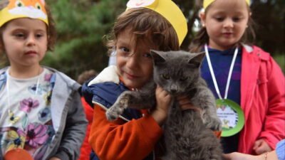 Yıldırım Belediyesi Sokak Hayvanları Tedavi Merkezi ve Doğal Yaşam Alanı’nda