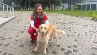 Bursa Büyükşehir Belediyesi Sokak Hayvanları Bakım ve Rehabilitasyon Merkezi, bayram