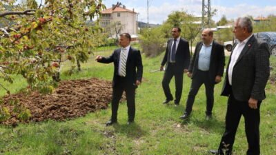  Türkiye genelinde etkili olan zirai don felaketi sonrası Keles ilçesinde