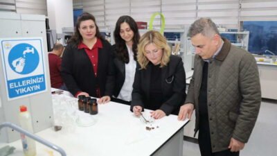 Bursa Teknik Üniversitesi (BTÜ) akademisyenlerinin, arı ekmeğinin endüstriyel ve tıbbi