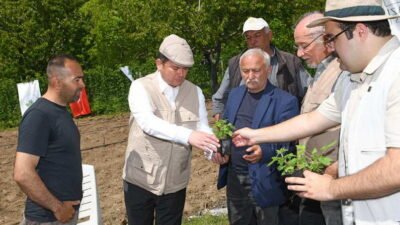 Osmangazi Belediyesi, tarımsal kalkınmanın desteklenmesi ve kentin üretim potansiyelinin arttırılması