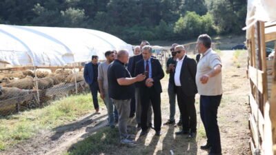 Kurban Bayramı’nın yaklaşmasıyla birlikte, Gemlik Belediyesi tarafından Muratoba’da kurulan kurban