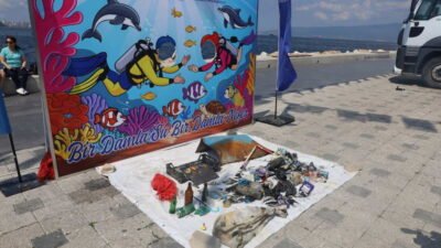 Dünya Çevre Günü kapsamında ‘Doğa için buluşuyoruz’ temasıyla çevreyle ilgili