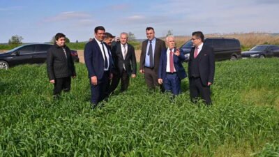 Bursa Büyükşehir Belediyesi, üreticilerin desteklenmesi ve girdi maliyetlerinin azaltılması amacıyla