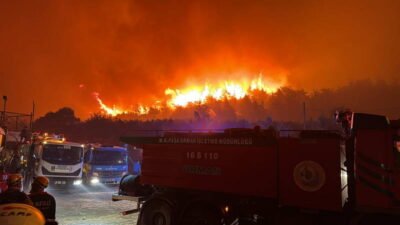 TMMOB Makine Mühendisleri Odası Bursa Şube Başkanı Ahmet İhsan Taşkınsel,