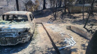 İzmir, Muğla, Eskişehir, Kocaeli ve Hatay’da yaşanan orman yangınları; can