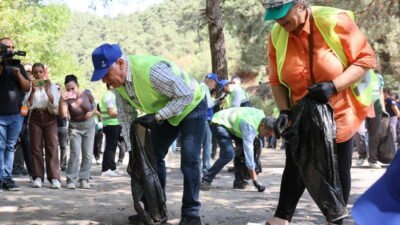 Bursa, son dönemde yaşanan yangınlarda 10.000 futbol sahası büyüklüğünde orman