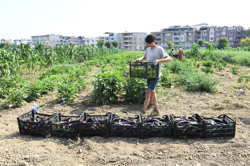Osmangazi Belediyesi iştiraki Gazi Tarım A.Ş. 130 çeşit yerel ve