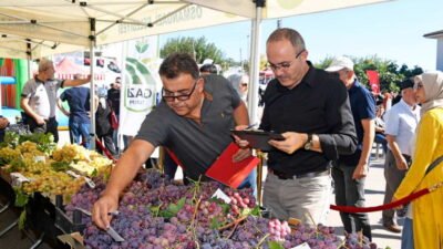Osmangazi Belediyesi, ilçede yetişen bir birinden değerli tarım ürünlerine değer