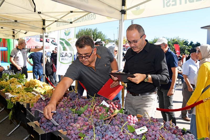 Osmangazi Belediyesi, ilçede yetişen bir birinden değerli tarım ürünlerine değer