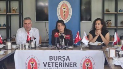 Bursa Veteriner Hekimler Odası, Dünya Kuduz Günü kapsamında sahipsiz hayvanlar