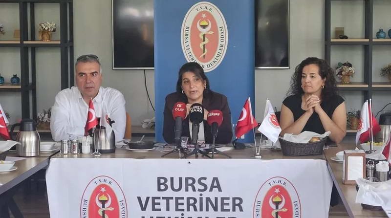 Bursa Veteriner Hekimler Odası, Dünya Kuduz Günü kapsamında sahipsiz hayvanlar