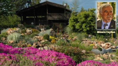 "...Maksadım insanoğlunun ne yaptığı ne yapmak istediği değil, anlatacağım doğanın