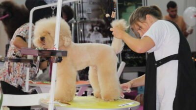 Türkiye’nin en büyük pet fuarı olma özelliğini taşıyan 9. Uluslararası