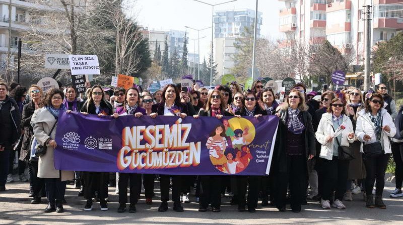 Nilüfer Belediyesi ve Nilüfer Kent Konseyi iş birliğiyle hazırlanan 8